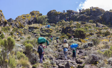 6 Days Rongai Route Kilimanjaro Climb
