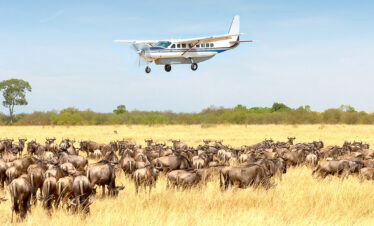 7 Day Luxury Fly In Serengeti & Ngorongoro Safari