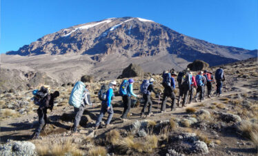 7 Days Lemosho Route Kilimanjaro Climb