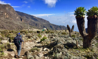 7 Days Machame Route Kilimanjaro Climb