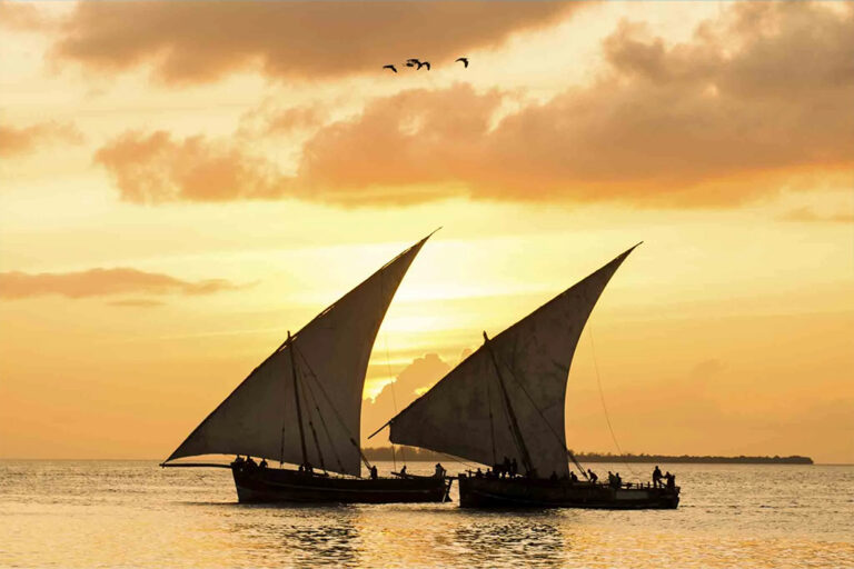 Boats-Tours
