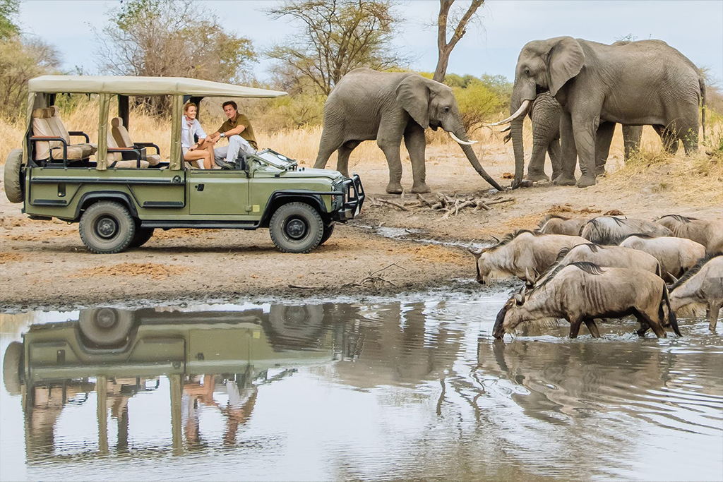 Day-Trips-Lake-Manyara