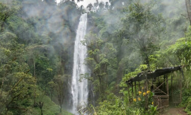 Materuni Waterfalls & Coffee Tour